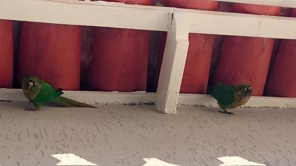 Gavea Bnb Rio de Janeiro Eksteriør bilde