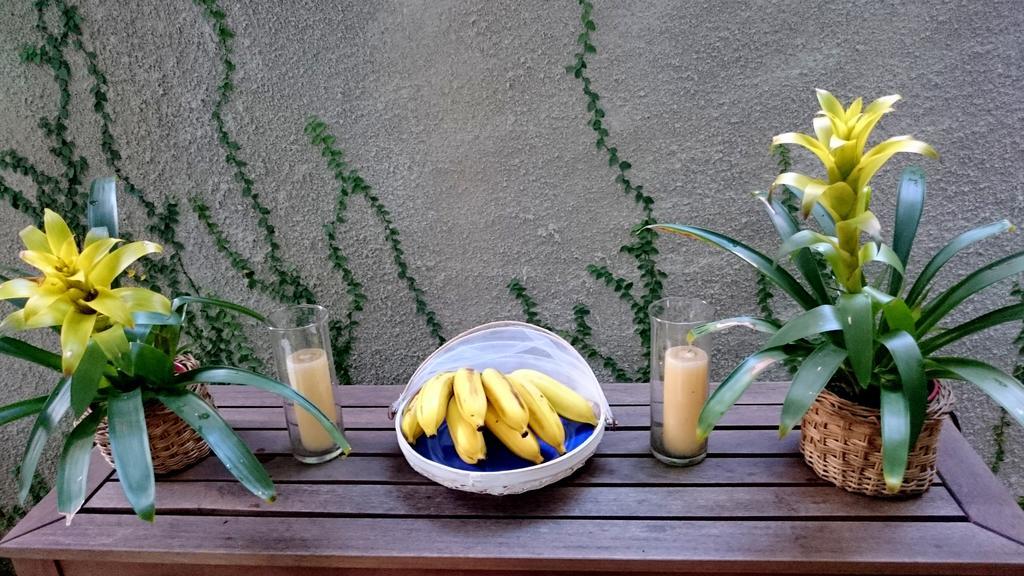 Gavea Bnb Rio de Janeiro Eksteriør bilde