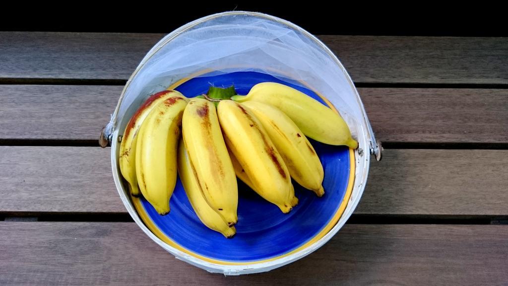 Gavea Bnb Rio de Janeiro Eksteriør bilde