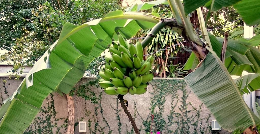 Gavea Bnb Rio de Janeiro Eksteriør bilde