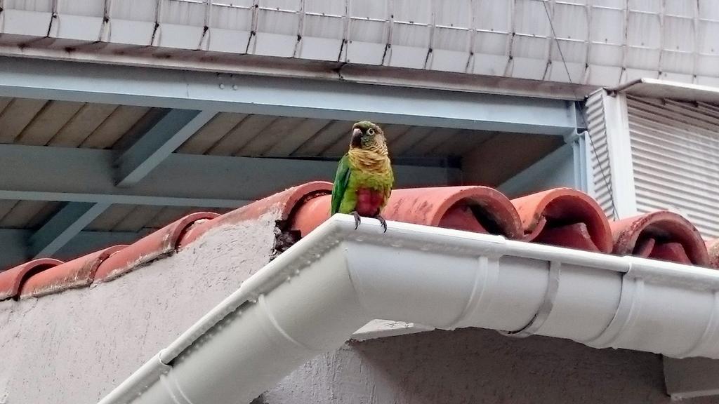 Gavea Bnb Rio de Janeiro Eksteriør bilde